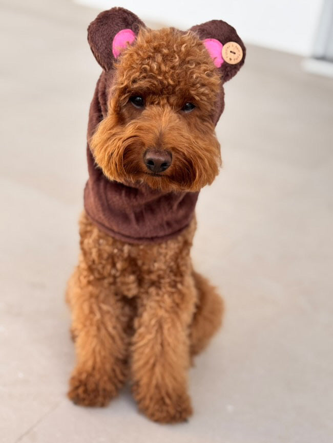 Dog Snood / Buff / Hat - Brown Teddy Bear
