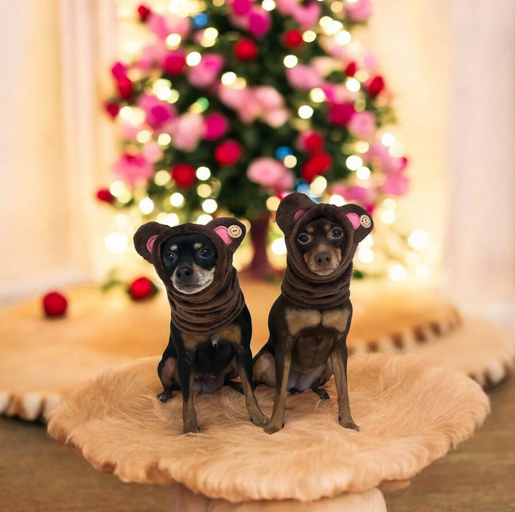 Dog Snood / Buff / Hat - Brown Teddy Bear